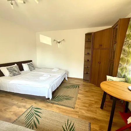 Wynajem Pokoi Kofeina